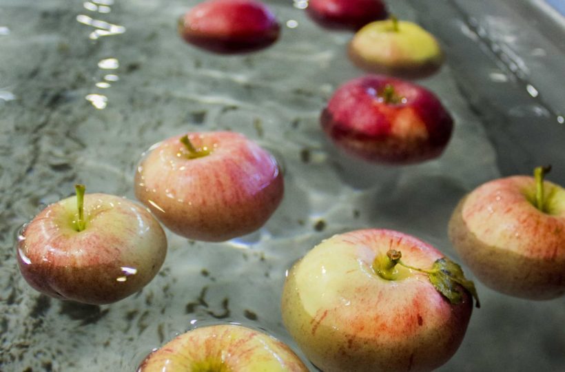 pommes de montagne