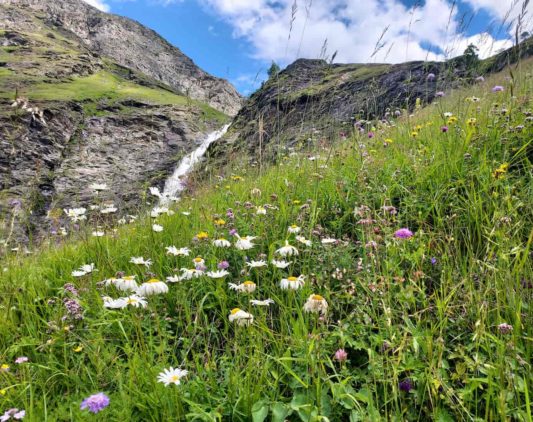 Cascade Champagny