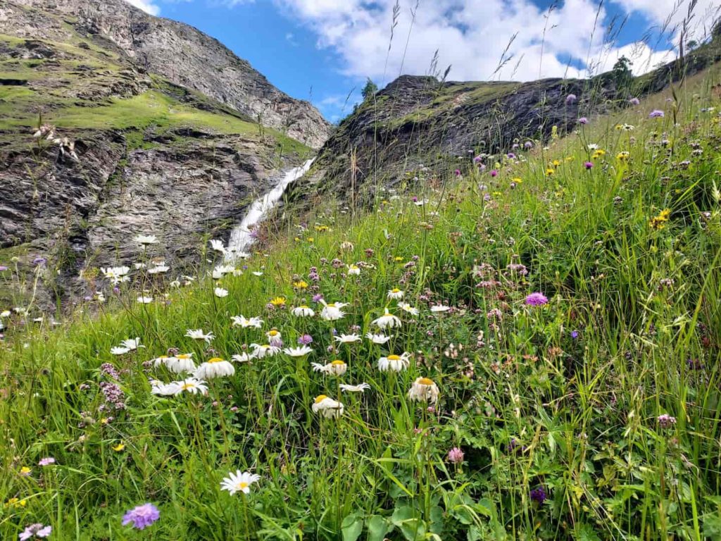 Cascade Champagny