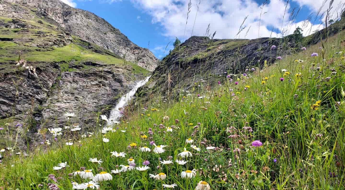 Cascade Champagny