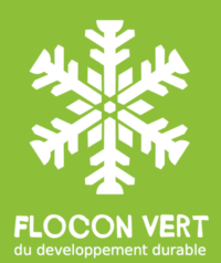 Logo flocon vert