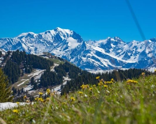 Les saisies