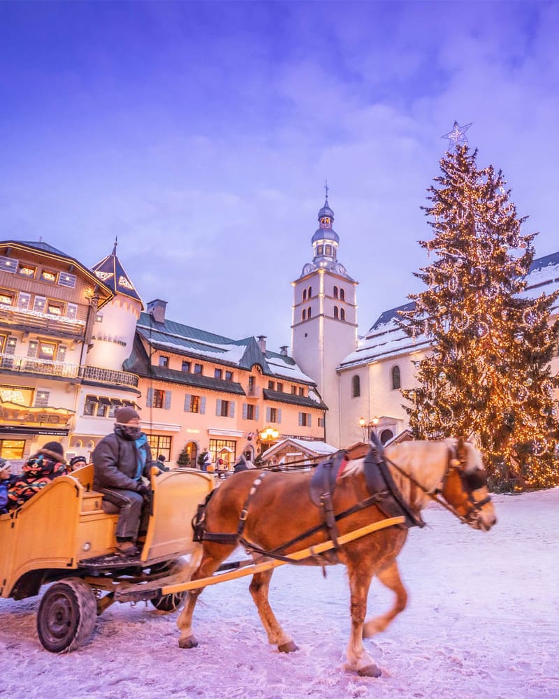 Megeve-otmegeve_prairy_cover_Simon-Garnier