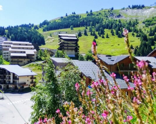 Des chalets à Auris en Oisans